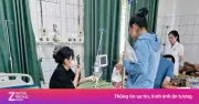Nữ sinh bị rết cắn vẫn thi lớp 10, phải cấp cứu giữa buổi thi