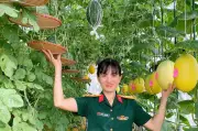 Nữ trung tá Hà Nội biến sân thượng thành vườn dưa trĩu quả