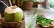 Nước dừa hay nước ép nha đam: Loại nào bù nước tốt hơn?