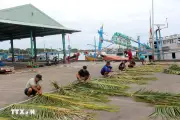 Ngư dân Lâm Đồng rộn ràng vào mùa thả cội chà, kỳ vọng vụ cá Nam bội thu