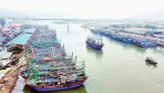 Ngư dân Nghệ An thích ứng chuyển đổi số qua phần mềm eCDT VN