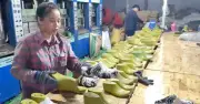 Đường dây sản xuất dép giả thương hiệu Crocs: Lợi nhuận khủng hàng chục tỷ đồng