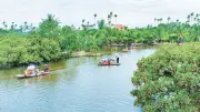 Đồng Mẩn hút khách với du lịch mùa vải chín, Hải Phòng kỳ vọng phát triển tour 'mùa quả chín'