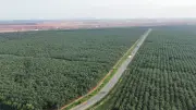 Đồng Nai cuối tháng 6 hoàn thành phê duyệt bồi thường 6 dự án trọng điểm
