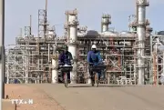 Đường ống khí đốt xuyên Sahara: Chiến lược năng lượng mới của châu Phi
