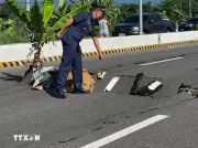 Động đất 7,8 độ ngoài khơi Philippines, ít nhất 1 người chết, cảnh báo sóng thần