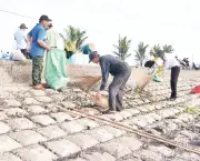 Đồng Tháp ra quân dọn vệ sinh đê biển, thu gom hàng chục tấn rác