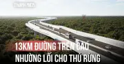 Đường trên cao xuyên rừng Đồng Nai: Nhường lối cho thú rừng, khởi công 30.6