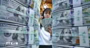 Đồng USD đạt mức cao nhất 13 tháng nhờ kỳ vọng Fed tăng lãi suất