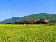 Đề nghị giảm giá cước vận chuyển hàng hóa liên vận quốc tế qua ga Lào Cai