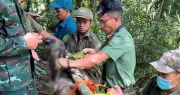 Người đàn ông tử vong trên cây cao 40m nghi do đột quỵ