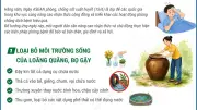 Ngày ASEAN phòng chống sốt xuất huyết: 3 việc cần làm để phòng bệnh hiệu quả