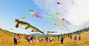 Ngày hội thả diều Cộng đồng Diên Khánh: Sân chơi tuổi thơ trên cánh đồng quê