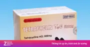 Ổ nhóm sản xuất thuốc giả từ bột ngô và phụ gia thực phẩm bị đưa ra xét xử