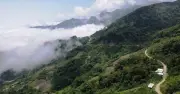 Những 'lá chắn sống' canh giữ quốc bảo sâm Ngọc Linh trên đỉnh núi