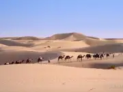Niger: Gần 50 người chết giữa sa mạc Sahara khi di cư