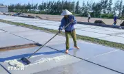 Ninh Bình: Giá muối đầu vụ tăng điểm, dân thêm động lực bám nghề