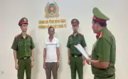 Ninh Bình khởi tố đối tượng trốn thuế gần 800 triệu đồng