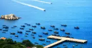 Đà Nẵng siết chặt quản lý vùng lõi Khu dự trữ sinh quyển Cù Lao Chàm
