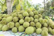 Nông sản Việt: Trung Quốc muốn giữ thị trường phải đi bằng chất lượng