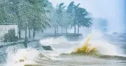 Áp thấp nhiệt đới sắp vào Biển Đông, khả năng mạnh thành bão 65%