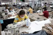 Phó Chủ tịch nước dự lễ phát động phong trào thi đua lao động giỏi, năng suất cao, thu nhập tốt