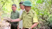 Phối hợp liên ngành tạo chuyển biến mạnh mẽ trong bảo tồn đa dạng sinh học
