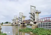 Phòng chống sạt lở, hạn hán và xâm nhập mặn ở ĐBSCL: Giải pháp cấp bách
