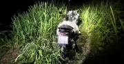 Phát hiện bộ xương khô tại khu đô thị ĐHQG TPHCM, nghi là nam MC mất tích
