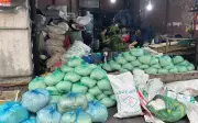Phát hiện ba cơ sở sản xuất giá đỗ dùng hóa chất cấm 6-BAP tại TP.HCM