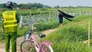 Phát hiện diều gần sân bay Nội Bài, 7 chuyến bay bị ảnh hưởng