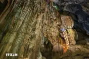 Phát hiện hang động mới với hệ thống thạch nhũ hiếm gặp tại Phong Nha - Kẻ Bàng