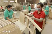 Phát triển lâm sản ngoài gỗ thành ngành hàng chủ lực