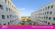 Phát triển nhà cho thuê: Giá bất động sản có hạ nhiệt?