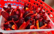 Quả rừng bỏ bờ rào nay thành đặc sản 500.000 đồng/kg