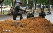 Quảng Ngãi khai quật mộ liệt sỹ tập thể tại đường Trường Chinh