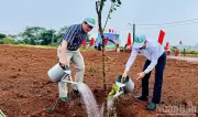 Quảng Ngãi phát động trồng hơn 100.000 cây xanh hưởng ứng Ngày Môi trường thế giới