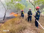 Quảng Trị khống chế cháy rừng tràm giáp biên giới Việt-Lào