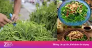 Rau bò khai: Loại rau rừng nặng mùi nhưng cực bổ gan, thận