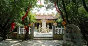 Rừng thiêng Rú Chá: Huyền tích miếu cổ và hầm bí mật giữa phá Tam Giang