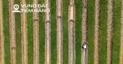 Siêu dự án ven sông Hồng: Tái thiết 11.400 ha, ảnh hưởng 250.000 dân