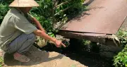 Sắp mở cầu sắt ở TPHCM, người dân phải đi vòng hơn 1km