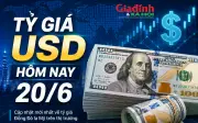 Tỷ giá USD hôm nay 20/6: Đô la Mỹ chợ đen bán ra 26.600 đồng