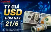Tỷ giá USD hôm nay 21/6: Đồng đô la Mỹ giữ ổn định, cả khối ngân hàng và chợ đen