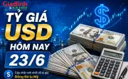 Tỷ giá USD hôm nay 23/6: Biến động trái chiều tại ngân hàng và chợ đen