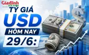 Tỷ giá USD hôm nay 29/6: Đồng đô la Mỹ biến động trái chiều