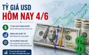 Tỷ giá USD hôm nay 4/6: Đô la Mỹ thị trường tự do phục hồi