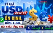 Tỷ giá USD hôm nay 9/6 ổn định, đồng Euro và Yên Nhật tăng nhẹ