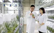 Đột phá theo Nghị quyết 57: Làm chủ công nghệ, mở đường cho tăng trưởng