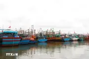 Từ Quảng Ninh đến Lâm Đồng chủ động ứng phó với vùng áp thấp trên biển
